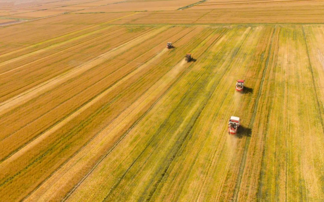 2024072426856311.jpg 1.jpg