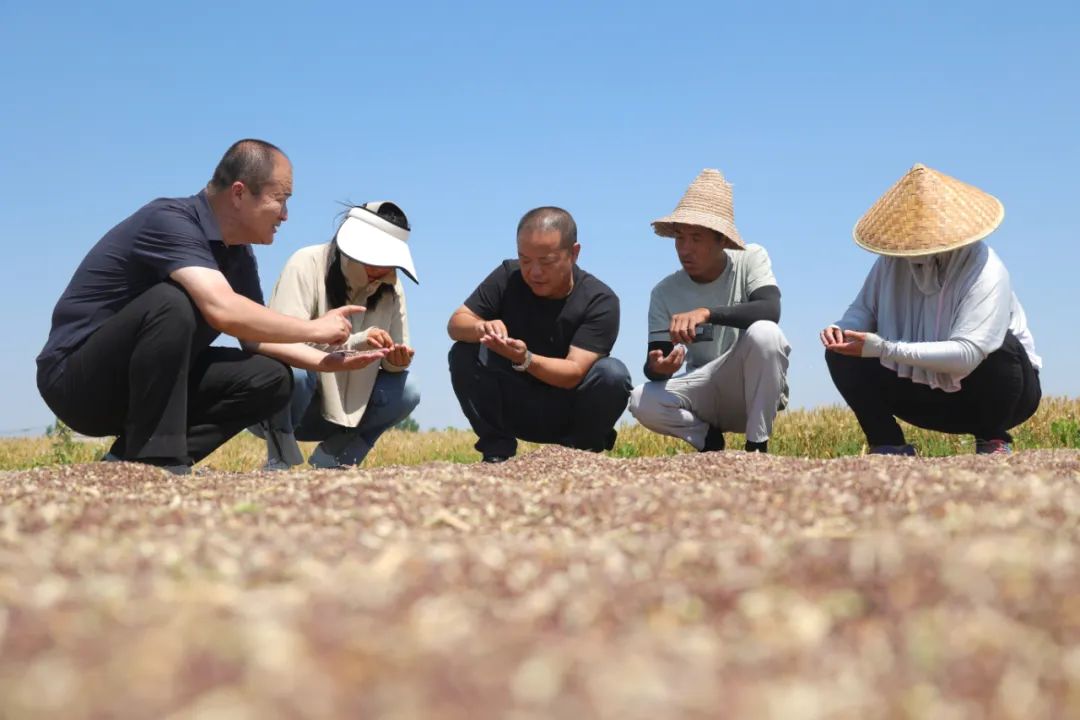 2024072462059065.jpg 2.jpg